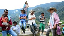 Sustitución de cultivos ilícitos por parte de Gobierno y FARC iniciará en Briceño