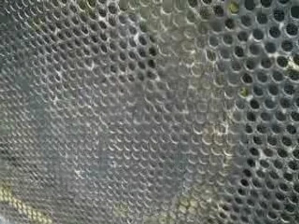 Teknoz / Teknival Saint Brieuc (Trémuson) de Bretagne 2007