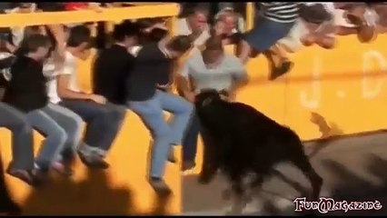 Funny videos That Will Make You Laugh FUNNY BULL FIGHTS Animal Attack Video Comp