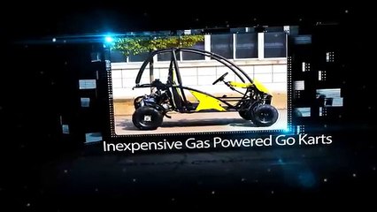 Gas powered go karts for sale