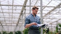 Florist Holding Accounting Of Plants In Greenhouse - Stock Footage | VideoHive 15091915