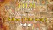 Sultan Title Track Video Song | Sukhwinder Singh | Shadab Faridi | Salman Khan | Anushka Sharma