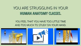 How To Learn Human Anatomy in Only 10 WEEKS