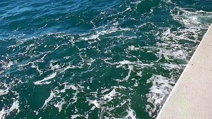 Arquitecto croata diseña un órgano que convierte las olas del mar en música