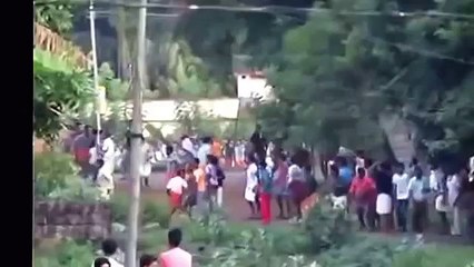 Elephant Rampage in Kerala Temple