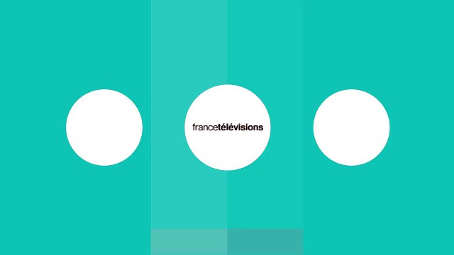 Delphine Ernotte confirme le lancement de la nouvelle chaine dinfo France info le 1er septembre