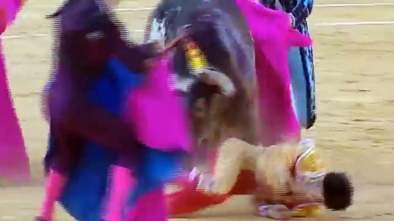 Le torero Victor Barrio meurt par encornement - Images violentes