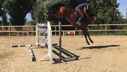 5 ans ROBLE Z et mère CACAO COURCELLE X FEO