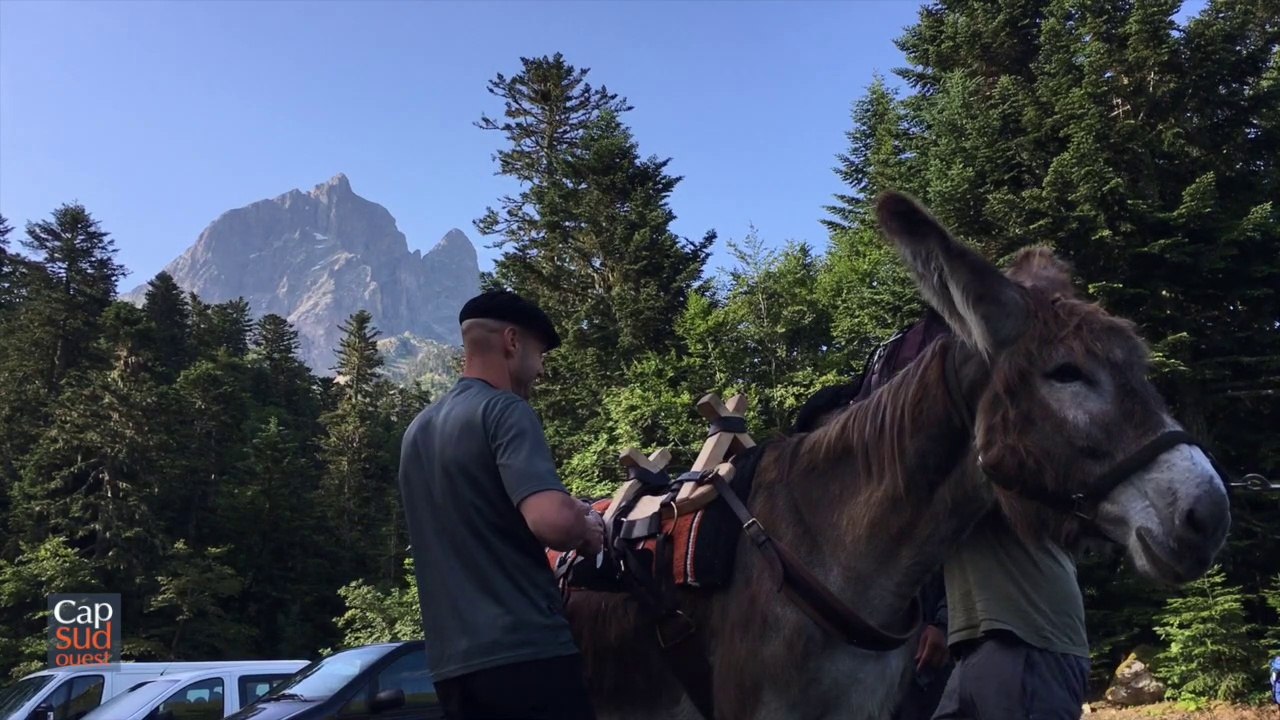 Cap Sud Ouest Ossau - Ludo et son âne