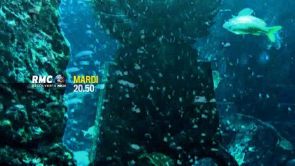 Soirée Spéciale à la recherche de l'Atlantide