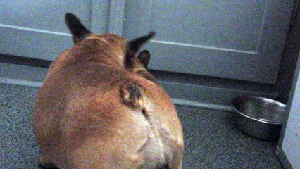 marius du square du p'tit quinquin