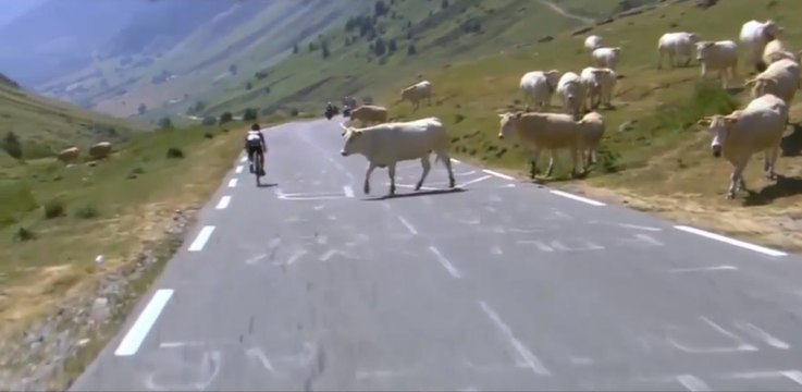 Dix images insolites qui ont marqué le Tour de France