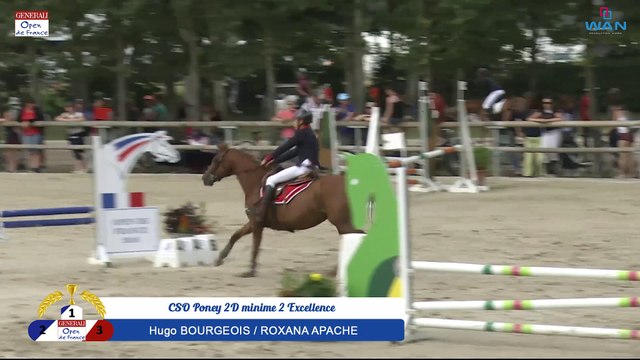 CSO Poney 2D minime 2 Excellence