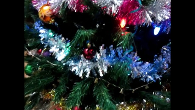 005 - Диня и Макс встречают Новый Год 2016 (fdvfilm1981)