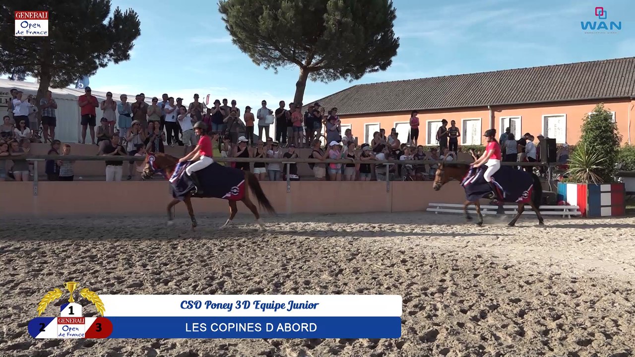 CSO Poney 3D Equipe Junior