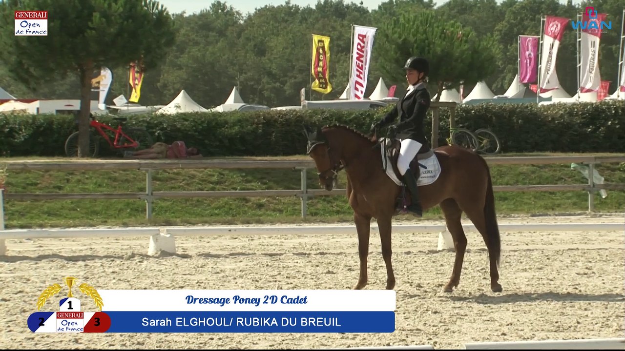 Dressage Poney 2D Cadet Excellence