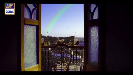 Dillagi Full OST By Ary Digital