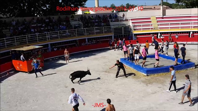 Rodilhan-toros-piscine-2016-07-10