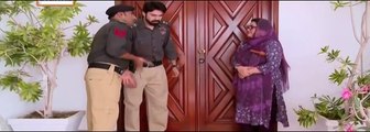 Bulbulay Episode 395 - 17 April 2016 -ARY DIGITAL