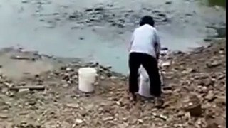 Hungry Fish In China Come Ashore To Eat