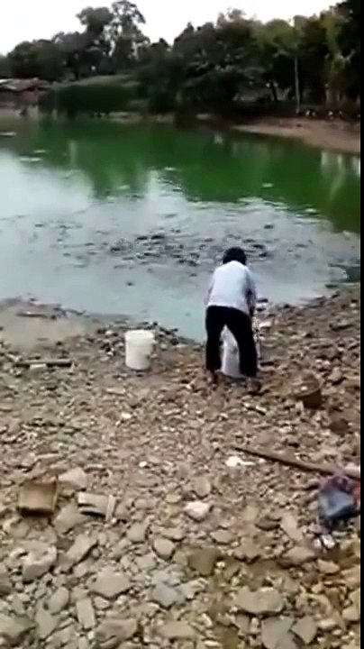 Hungry Fish In China Come Ashore To Eat