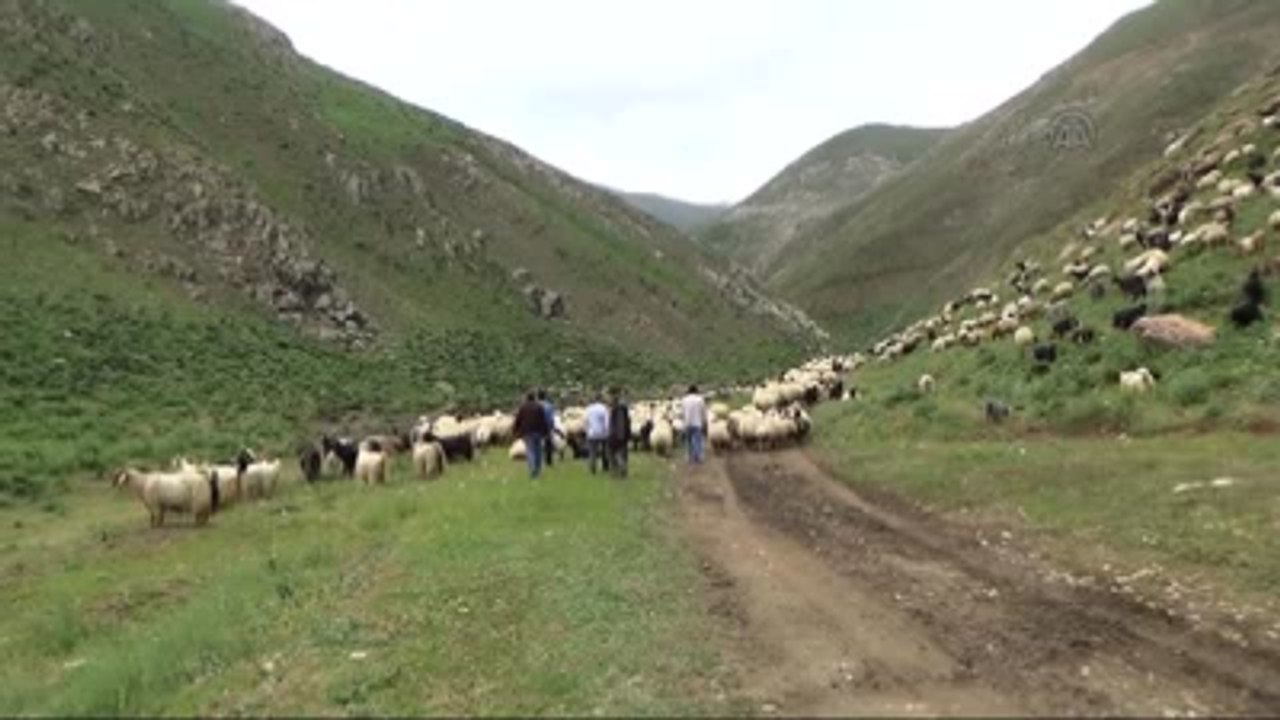Berivan Olmak Zor Bir İş"