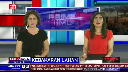 Kebakaran Lahan di Pelalawan Riau dan Siak