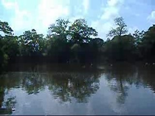 Raby Mere _ A Peaceful Place