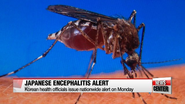 Nationwide watch for Japanese encephalitis issued, preventative measures include early vaccination and avoiding mosquito bites
