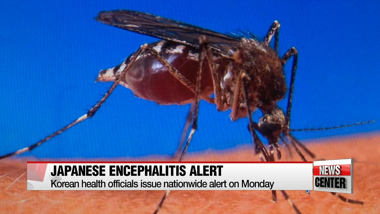 Nationwide watch for Japanese encephalitis issued,  preventative measures include early vaccination and avoiding mosquito bites