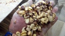 5 Ton/H Broad Beans Peeling & Cleaning Plants  - akytechnology.com