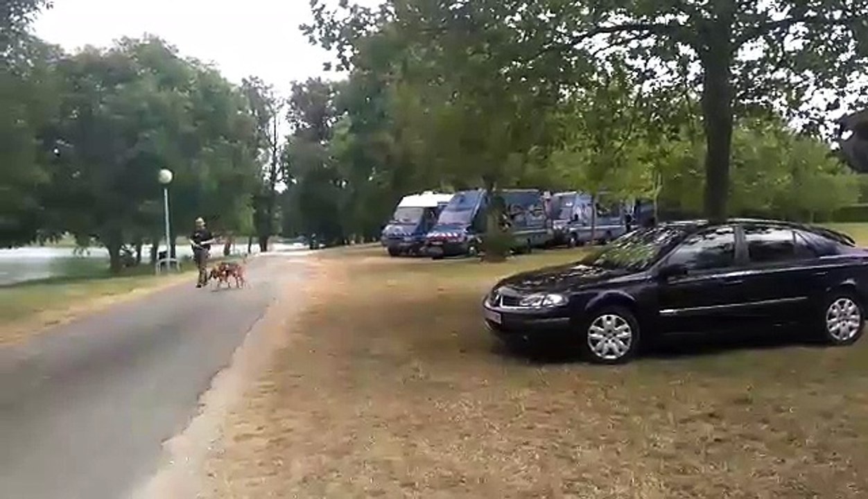 Disparition d'une fillette en Lot-et-Garonne : un maître chien et un escadron mobile étaient sur place lundi 11 juillet
