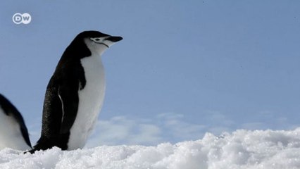 Uzay yolcuğunun insanlar üzerindeki etkisi