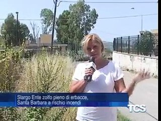 Slargo Ente zolfo pieno di erbacce  Santa Barbara a rischio incendi