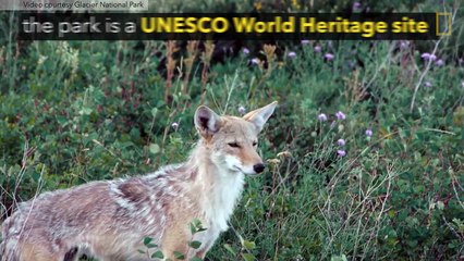 Stunning Images- Glacier National Park From the International Space Station