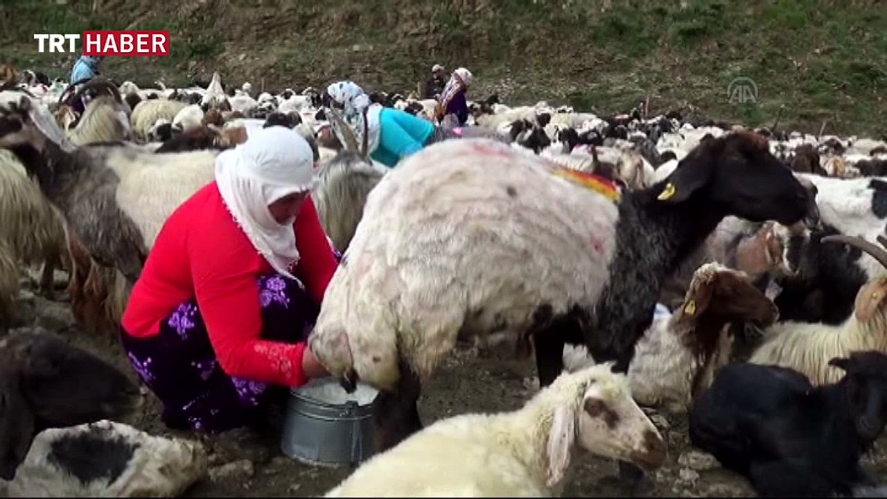 Berivan olmak zor bir iş