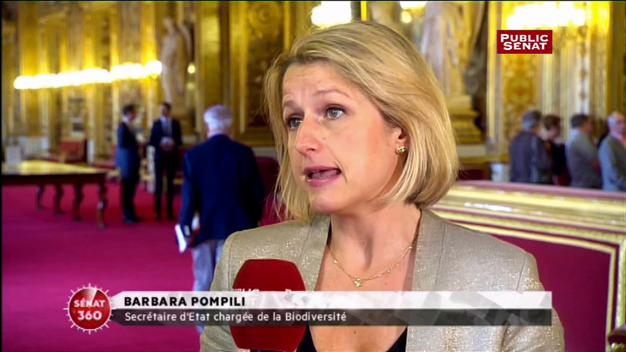 EELV : « Ils sont tout petits » tacle Barbara Pompili