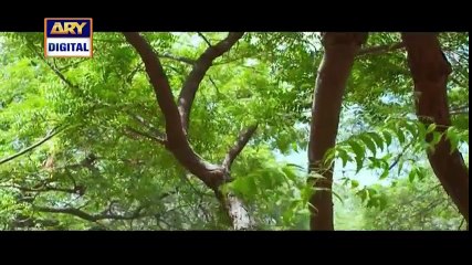 Naimat Episode 1 on Ary Digital 11th July 2016