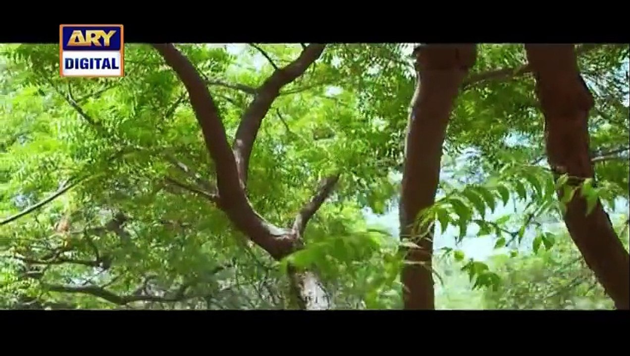 Naimat Episode 1 on Ary Digital in - 11th July 2016