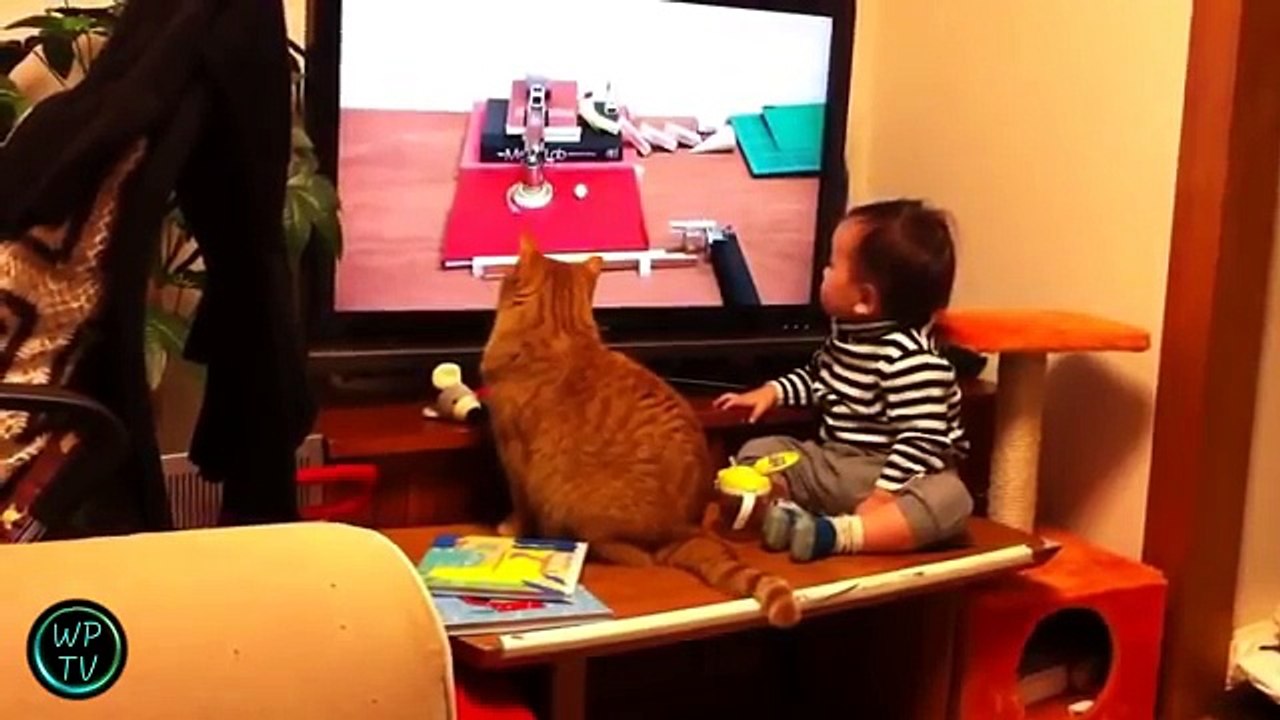 Funny videos - Best Fails Wins compilation