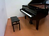 Estudio op. 25 no. 11 de Chopin por Pablo Álvarez Delgado