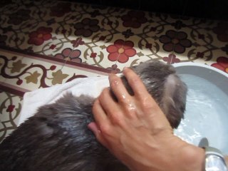 été minette 18 ans