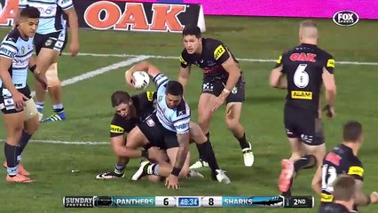 Ce chat a déchaîné l'imagination des internautes (et c'est très drôle)