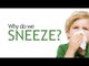 Why Do We Sneeze?