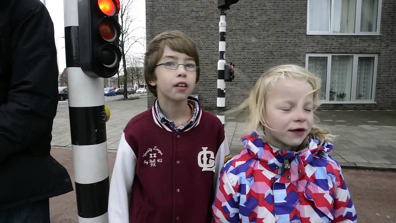 VVN SV: Oversteken bij een voetgangerslicht, 10-03-2013