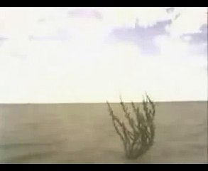 Müziksiz ilahiler 19 - Bize gülen var