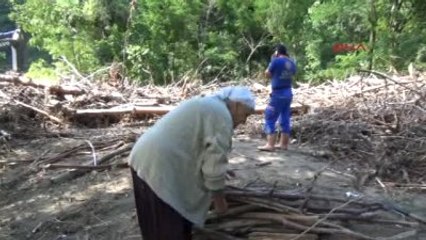 Ordu?da Sel Sularından Ağaç ve Odun Topladılar