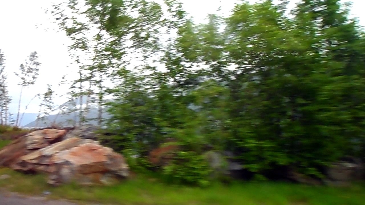 SoM_2466