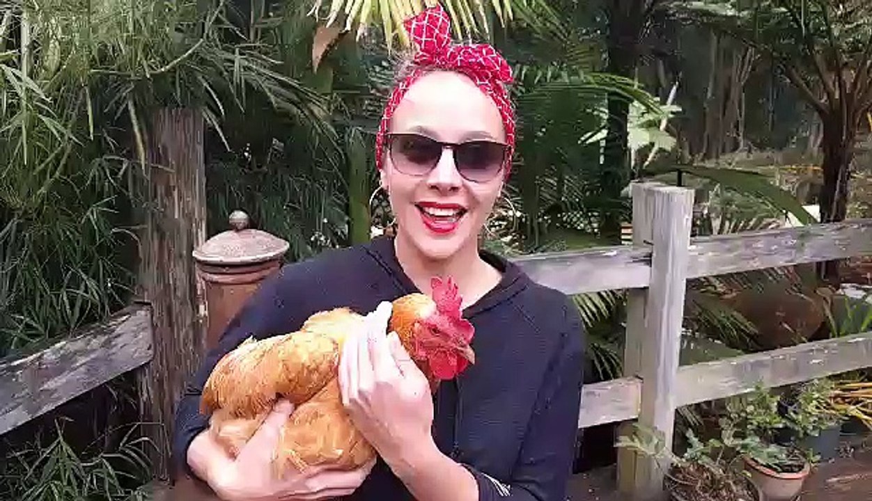 PETITE POULE