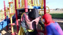 Spiderman and friends The Amazing Spider-Man in real life superhero against Robin